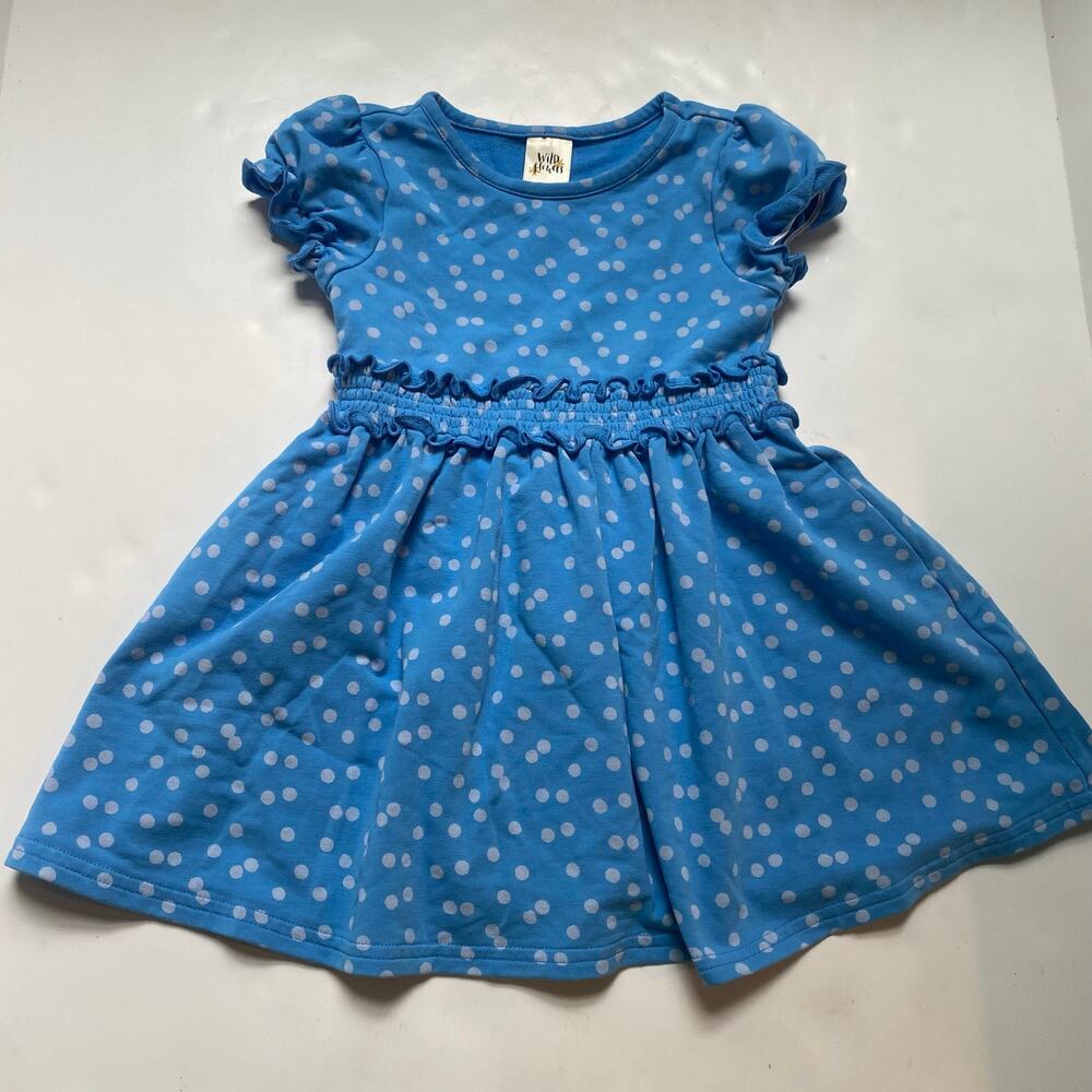 Wildflowers Blue Polka Dot Dress